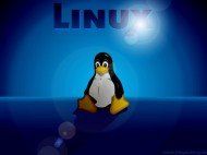 Re: Как установить Windows XP