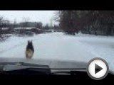 Посмотреть это видео на youtube.com