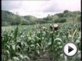 Посмотреть это видео на youtube.com Никарагуа - право народа на выживание / Nicaragua - A nations right to survive Документальный фильм остросоциальной направленности, снятый